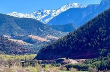 Marrakech: Atlas mountains, 3 Valleys, Waterfalls & Lunch