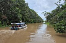 Full Day Tour Anavilhanas Archipelago and Ariau River