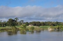Jungle Walk, Fishing, Lunch and Canoe Trip in the Heart of Amazon