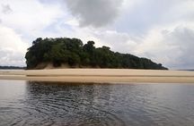 Full Day Tour Anavilhanas Archipelago and Ariau River