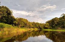 Full Day Tour Anavilhanas Archipelago and Ariau River