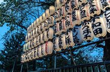 Tokyo 5 to 6 Hour Private Tour: Temples, Ueno, Shibuya & Shinjuku