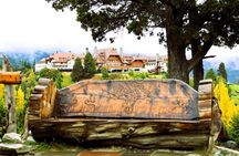 Explore Patagonia Tour of Circuito Chico