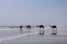 West Salalah Beaches and Blowholes(private tour)