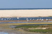West Salalah Beaches and Blowholes(private tour)