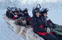 Lapland In A Day - Reindeer, Sledding, Snowmobile & Nature