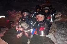 Lapland In A Day - Reindeer, Sledding, Snowmobile & Nature