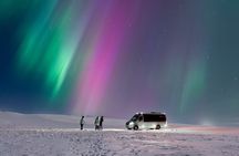 Luxury Northern Lights Hunt Private Tour with Photos and Treats