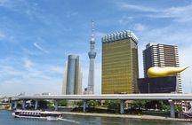 Tokyo 5 to 6 Hour Private Tour: Temples, Ueno, Shibuya & Shinjuku