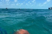 3 in 1 Experience in Tulum