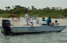 1-Hour Private Party Assateague Island Pony Cruise in Ocean City
