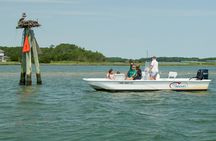 1-Hour Private Party Assateague Island Pony Cruise in Ocean City