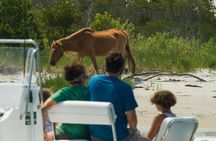 1-Hour Private Party Assateague Island Pony Cruise in Ocean City