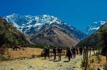 Salkantay 5 Days || Return by bus