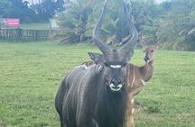 Kragga Kamma Game Park & City tour