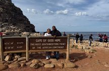 Half Day Private Penguins & Cape Point Tour