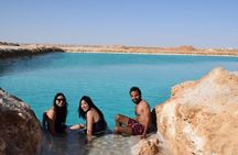 Siwa Oasis Expedition