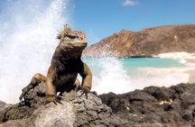 San Cristobal Snorkel360° from Cristobal (From Cristobal)