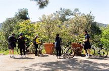 Istanbul Princes' Islands Cycling Tour