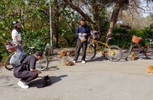 Istanbul Princes' Islands Cycling Tour