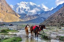 Salkantay 5 Days || Return by bus