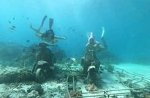 Private Snorkeling Tour of Gili Islands in Air Meno and Trawangan