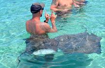 Discover the unspoilt sites of the lagoon DE Moorea