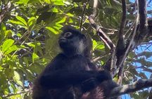 Punta Laguna Adventure with Mayan Ceremony