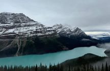 Banff:Columbia Icefield Adventures, Skywalk and Iconic Lakes Tour