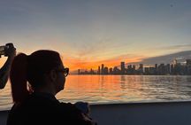 Miami Sightseeing Cruise of Biscayne Bay with Music Cash Bar 