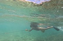 Hawaiian Reef Spearfishing Lesson for Beginners