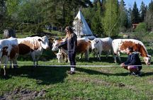 Sipoo Biodynamic Farm Visit with Lunch