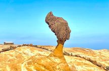 New Taipei City Tour| Yehliu, Jiufen & Shifen Day Tour