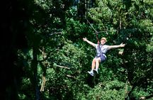 Phuket Jungle Adventure with 42 Zipline Platforms and ATV Safari 