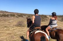 Half day Horse back safari