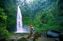 Ubud Private Tour: Waterfalls, Temple and Rice Terraces Swing 