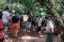 Jozani Forest and Spice Tour 