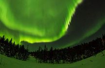 Northern lights hunting by car with local guides