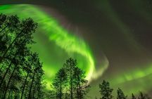 Northern lights hunting by car with local guides