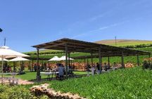 Stellenbosch, Franschhoek, Paarl 15 Wine Tasting Private Tour 