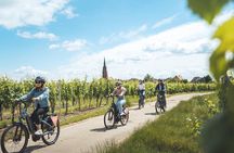 Best Of by bike: Mittelwihr, Ribeauville, Riquewihr, Kaysersberg