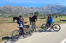 E-Bike Tour + Gourmet Snack + Wine Tasting (Small Group)