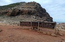 Cape Of Good Hope and Boulders Beach Penguins Full day Tour
