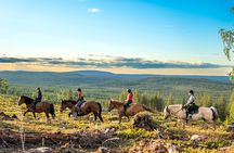 Horse Ride to the Hill Activity