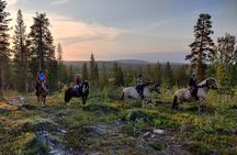 Horse Ride to the Hill Activity
