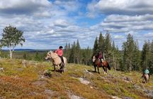 Horse Ride to the Hill Activity