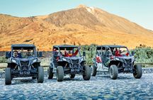 Guided Buggy Tour through Teide National Park