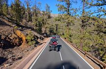 Guided Buggy Tour through Teide National Park