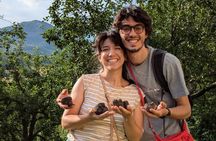Truffle Hunting & Lunch halfway from Parma to Cinque Terre