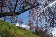 Best Of by bike: Mittelwihr, Ribeauville, Riquewihr, Kaysersberg